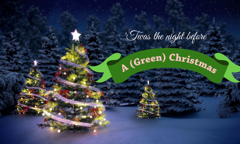 Green holiday tips